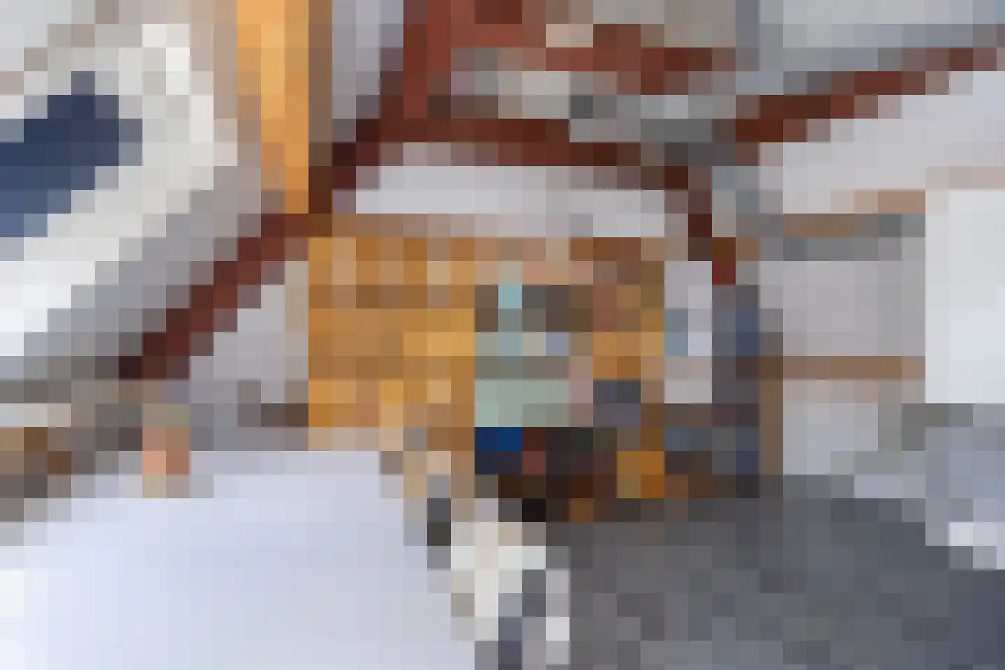 Wilgenstraat 18 Hunsel thumbnail 36