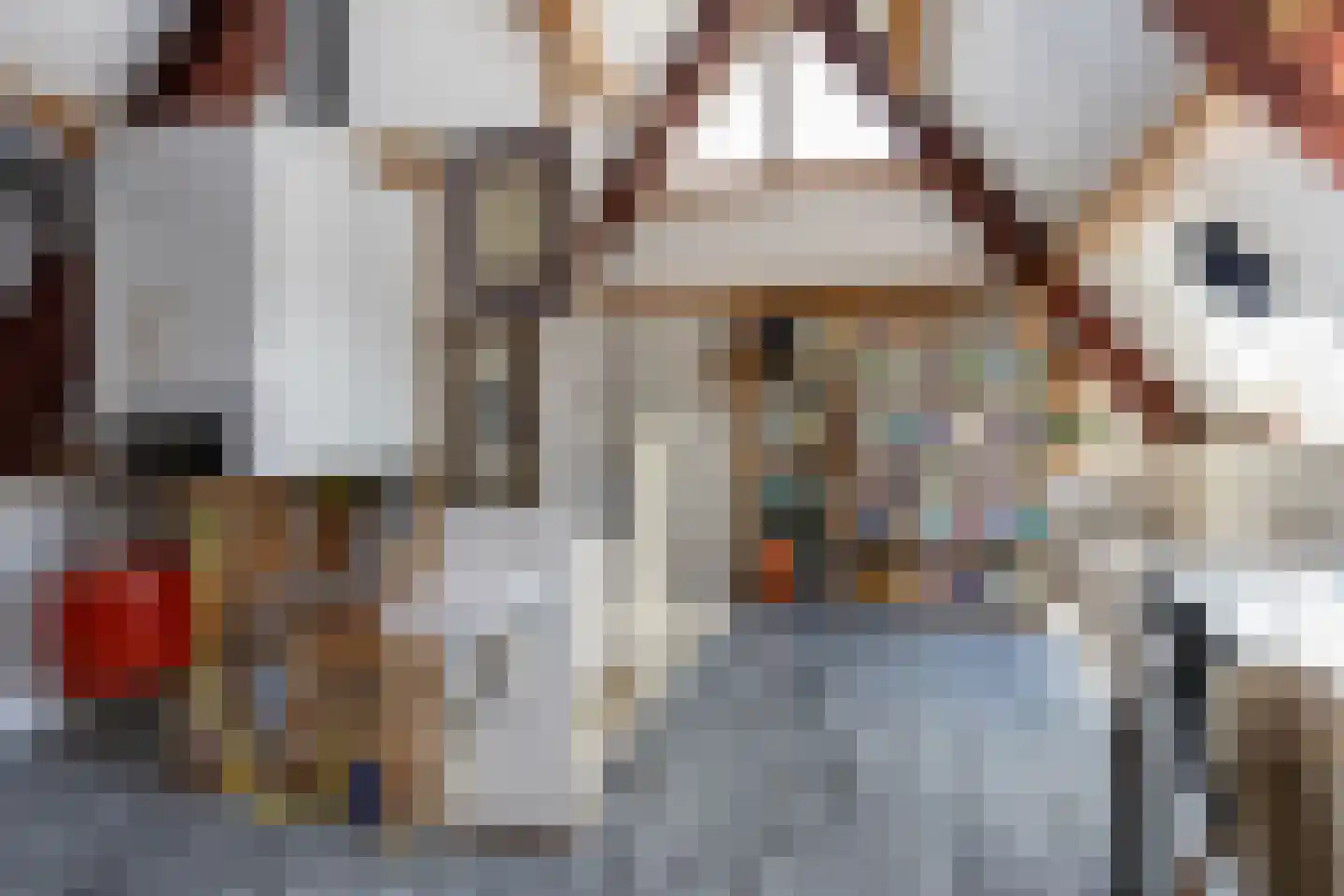 Wilgenstraat 18 Hunsel thumbnail 37