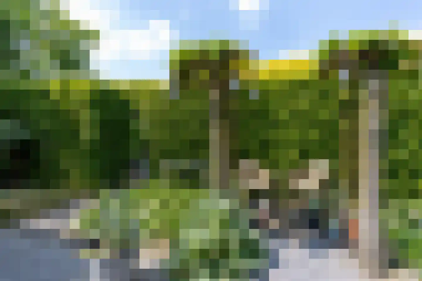 Wilgenstraat 18 Hunsel thumbnail 46