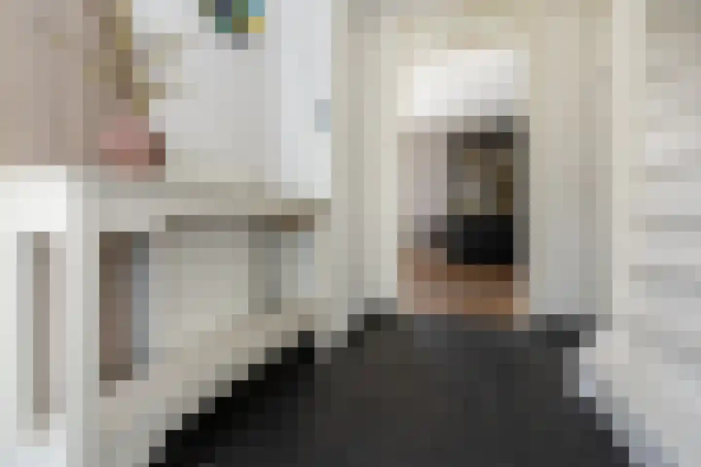 Wilgenstraat 18 Hunsel thumbnail 6