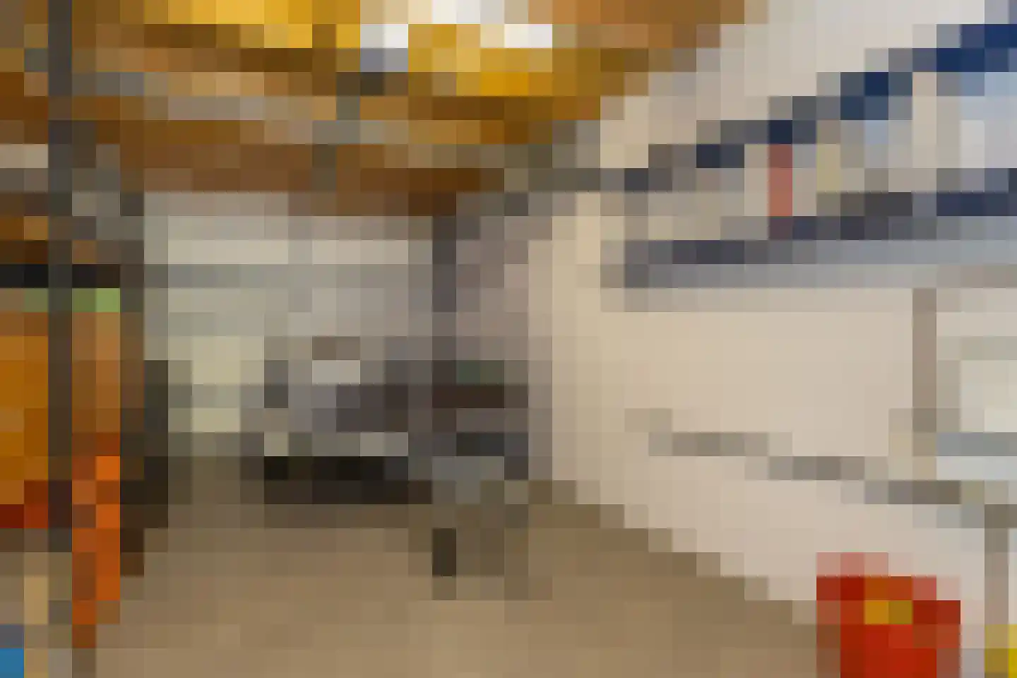 Wilgenstraat 18 Hunsel thumbnail 64