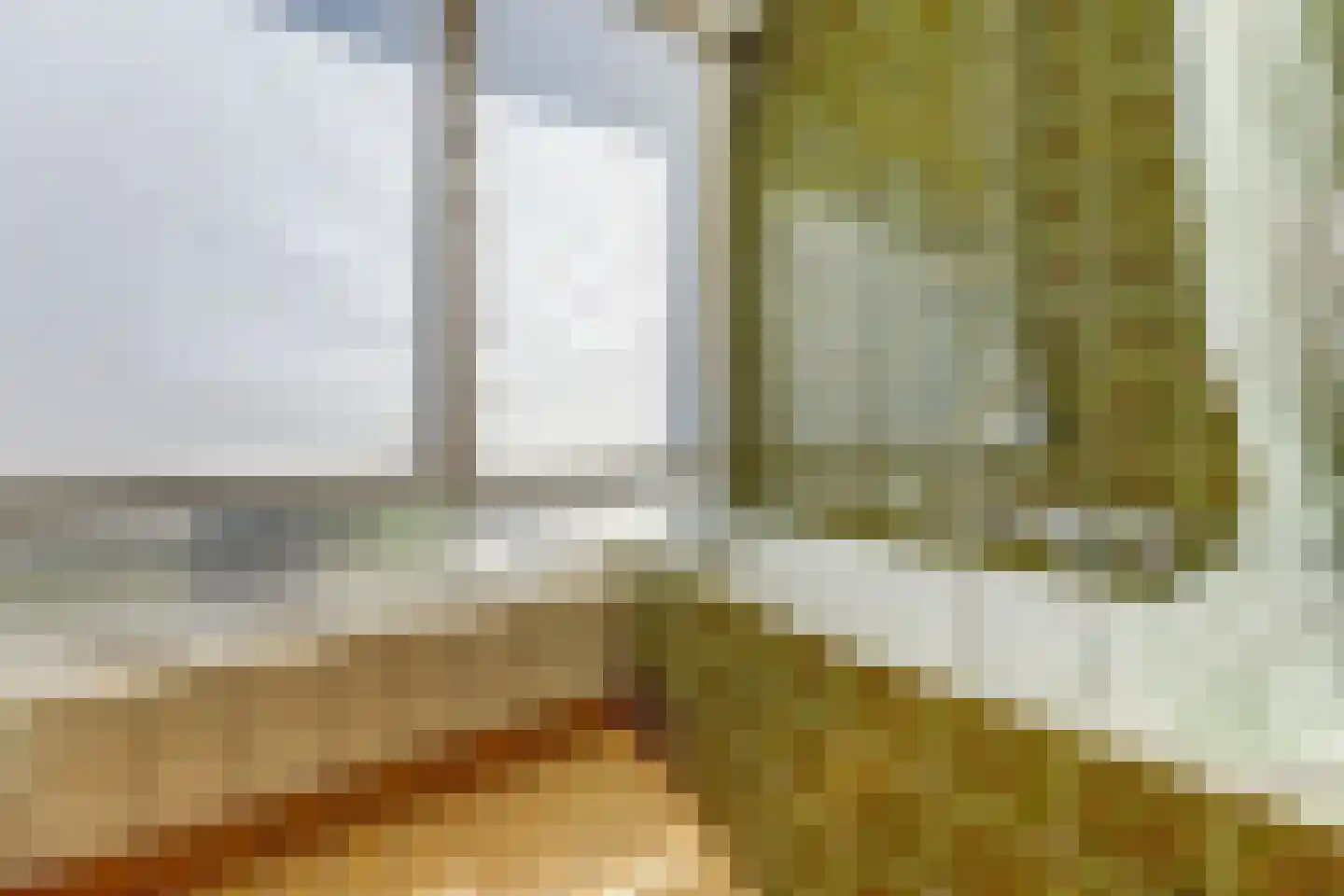 Wilgenstraat 18 Oss thumbnail 29