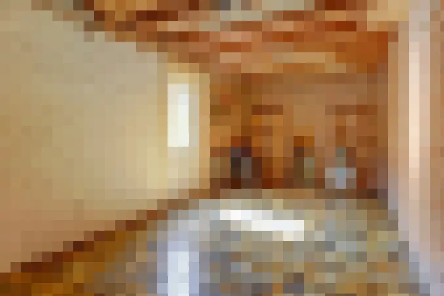 Wilgenstraat 18 Oss thumbnail 34