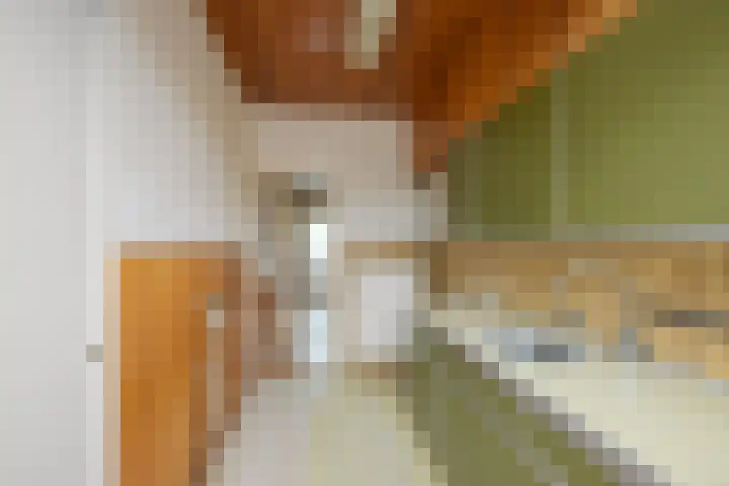 Wilgenstraat 18 Zaandam thumbnail 7
