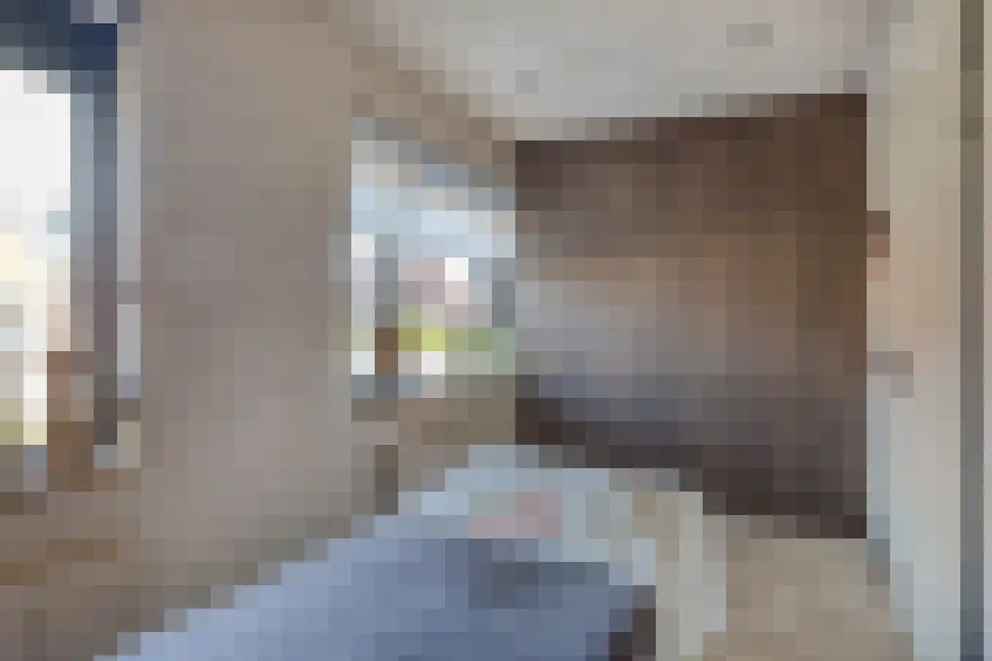 Wilgenstraat 2 b Brakel thumbnail 31