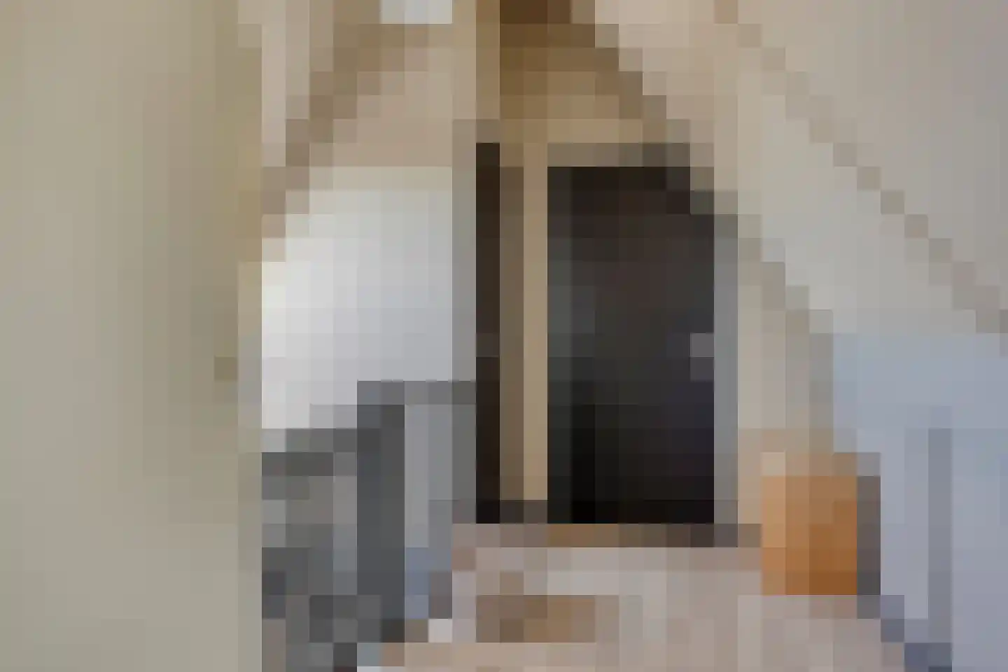 Wilgenstraat 2 b Brakel thumbnail 32