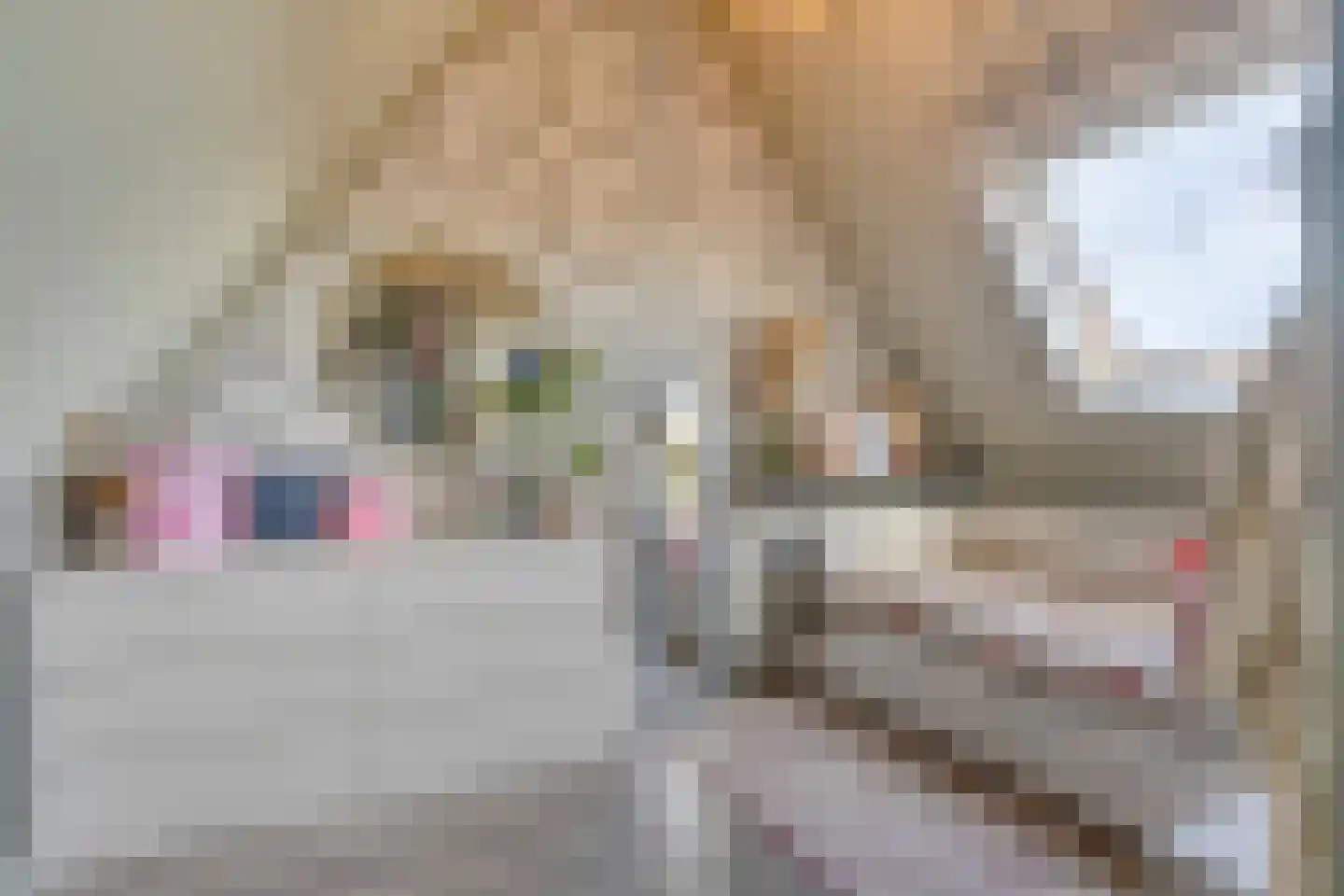 Wilgenstraat 2 b Brakel thumbnail 37
