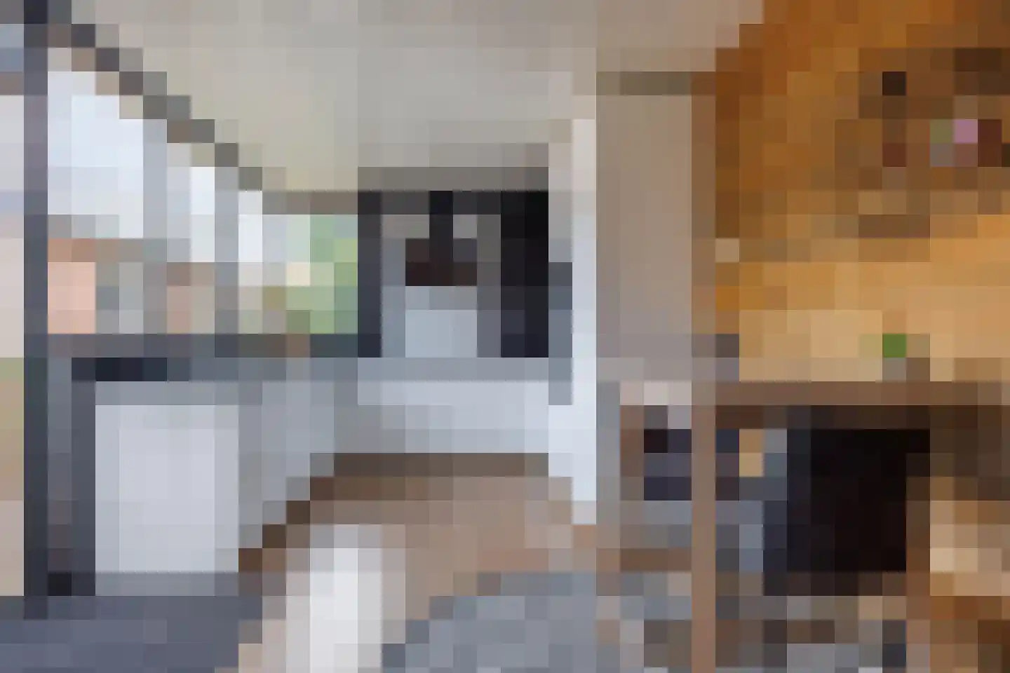 Wilgenstraat 2 Deest thumbnail 12