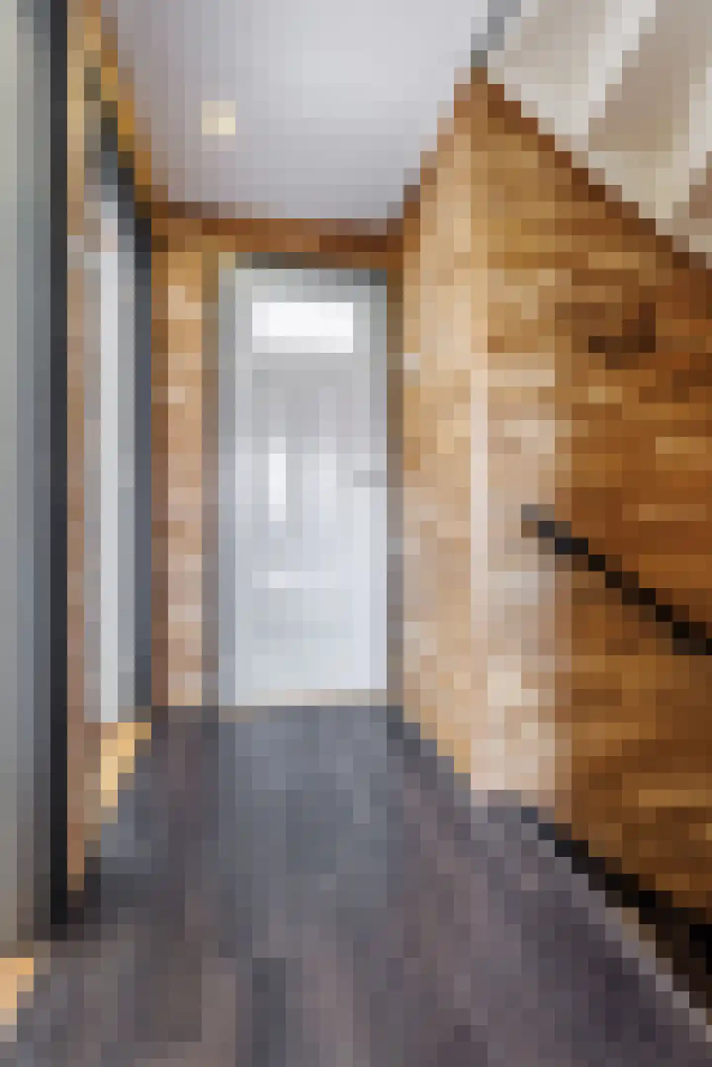 Wilgenstraat 2 Deest thumbnail 17