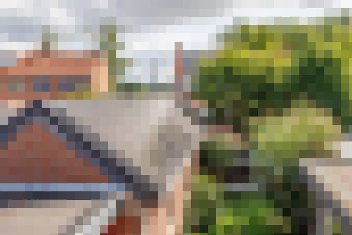 Wilgenstraat 2 Deest thumbnail 19