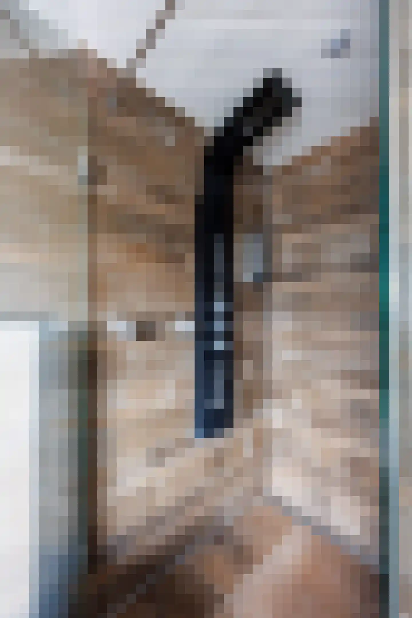 Wilgenstraat 2 Deest thumbnail 27