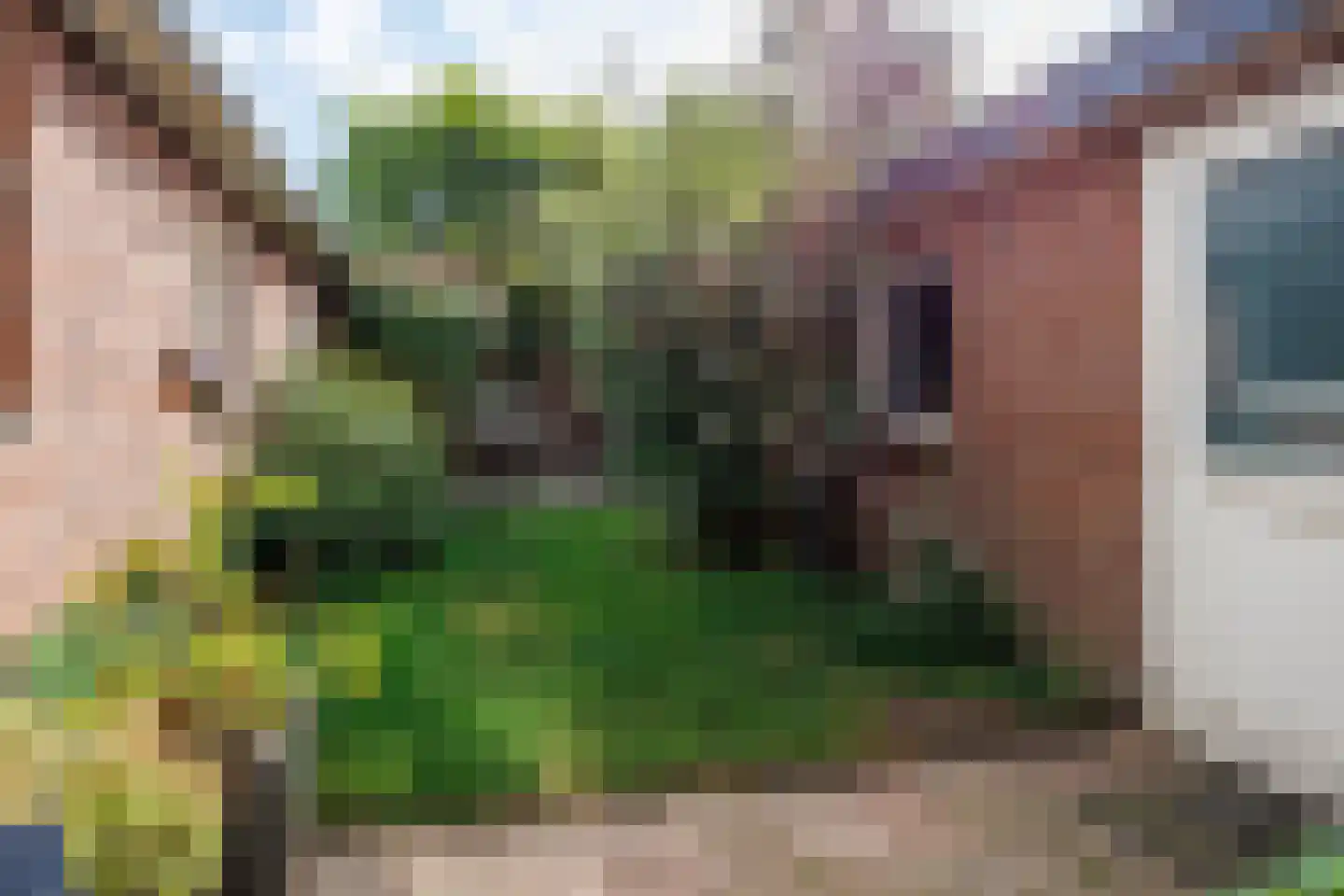 Wilgenstraat 2 Deest thumbnail 40