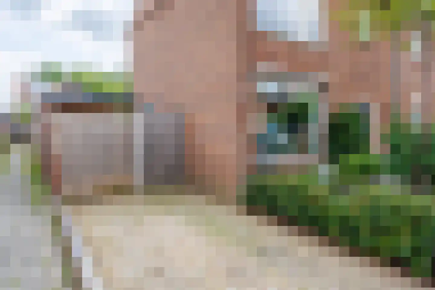 Wilgenstraat 2 Deest thumbnail 47
