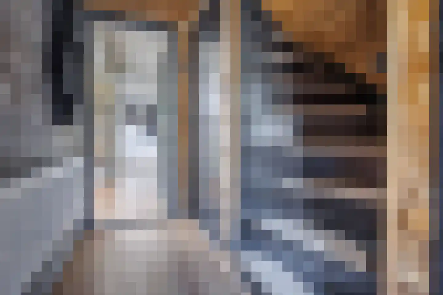 Wilgenstraat 2 Deest thumbnail 5