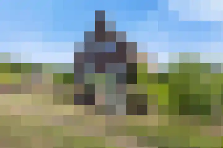 Wilgenstraat 2 Gemonde thumbnail 21