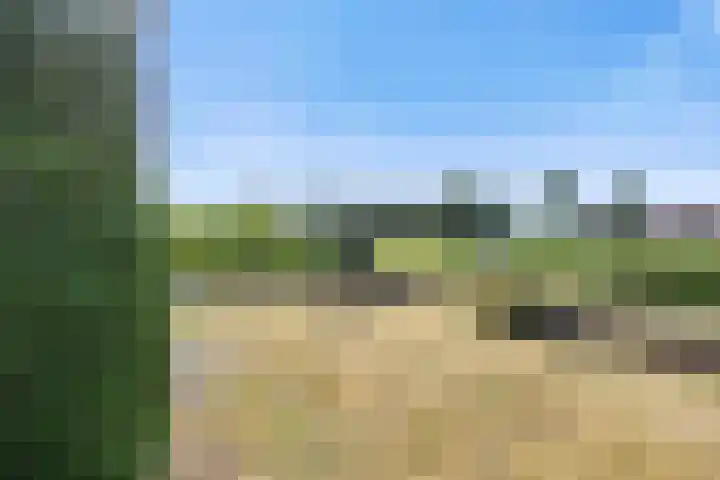 Wilgenstraat 2 Gemonde thumbnail 23
