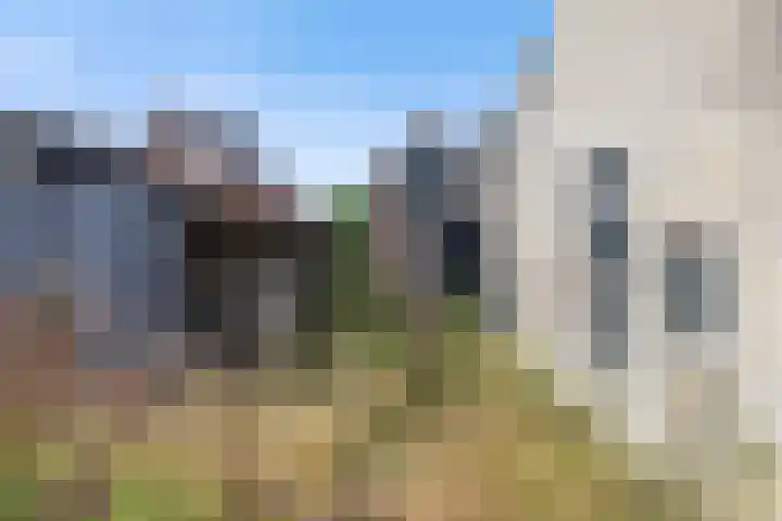 Wilgenstraat 2 Gemonde thumbnail 28