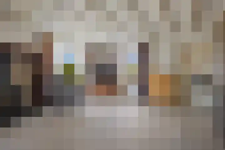 Wilgenstraat 2 Gemonde thumbnail 7
