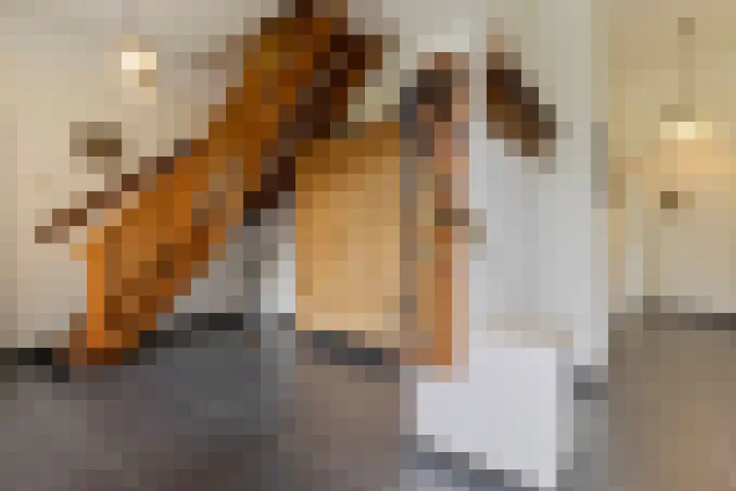 Wilgenstraat 2 Maasbree thumbnail 12