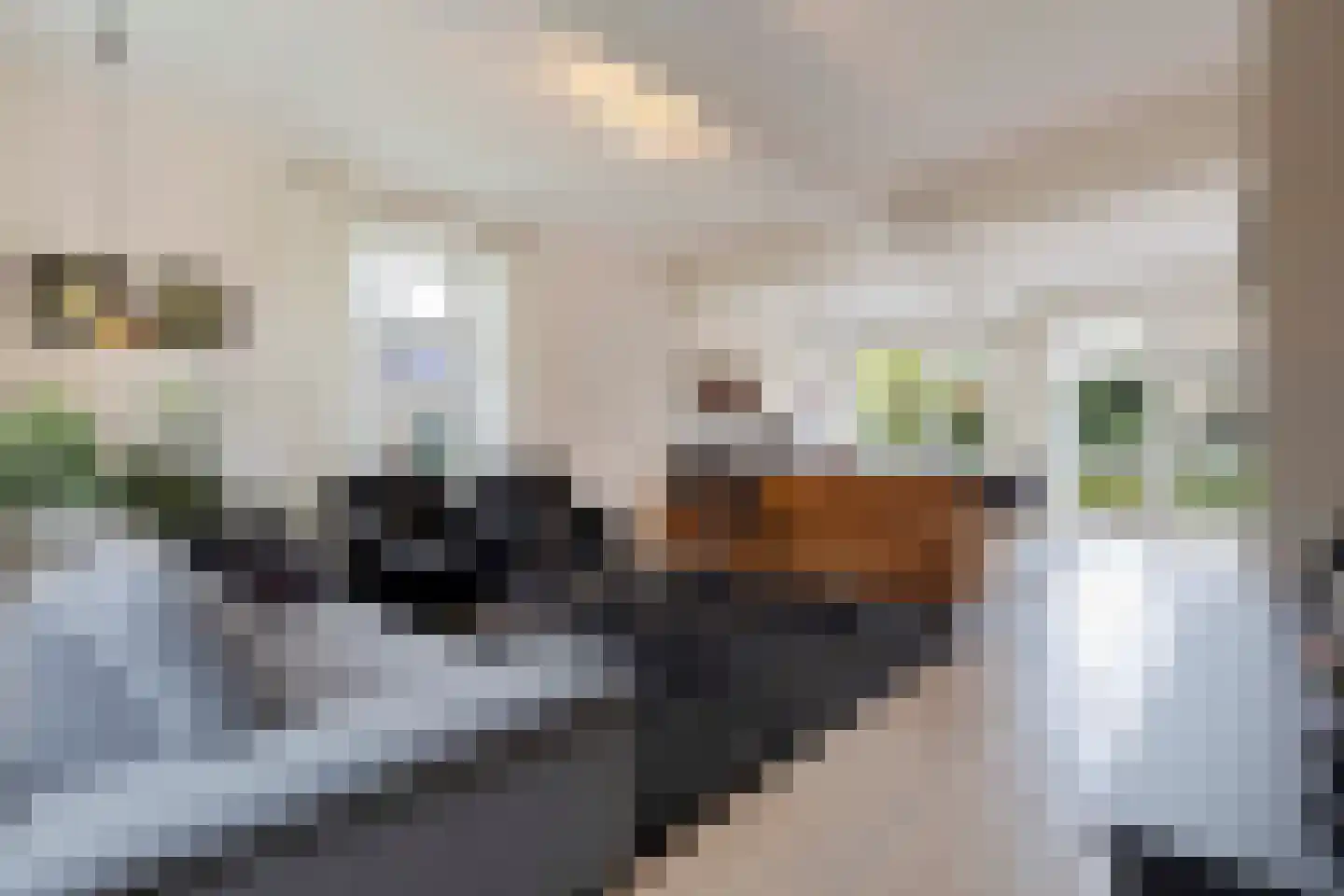 Wilgenstraat 2 Maasbree thumbnail 13