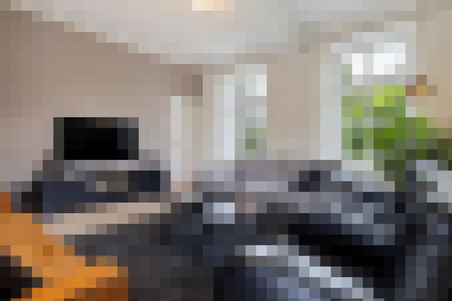 Wilgenstraat 2 Maasbree thumbnail 15
