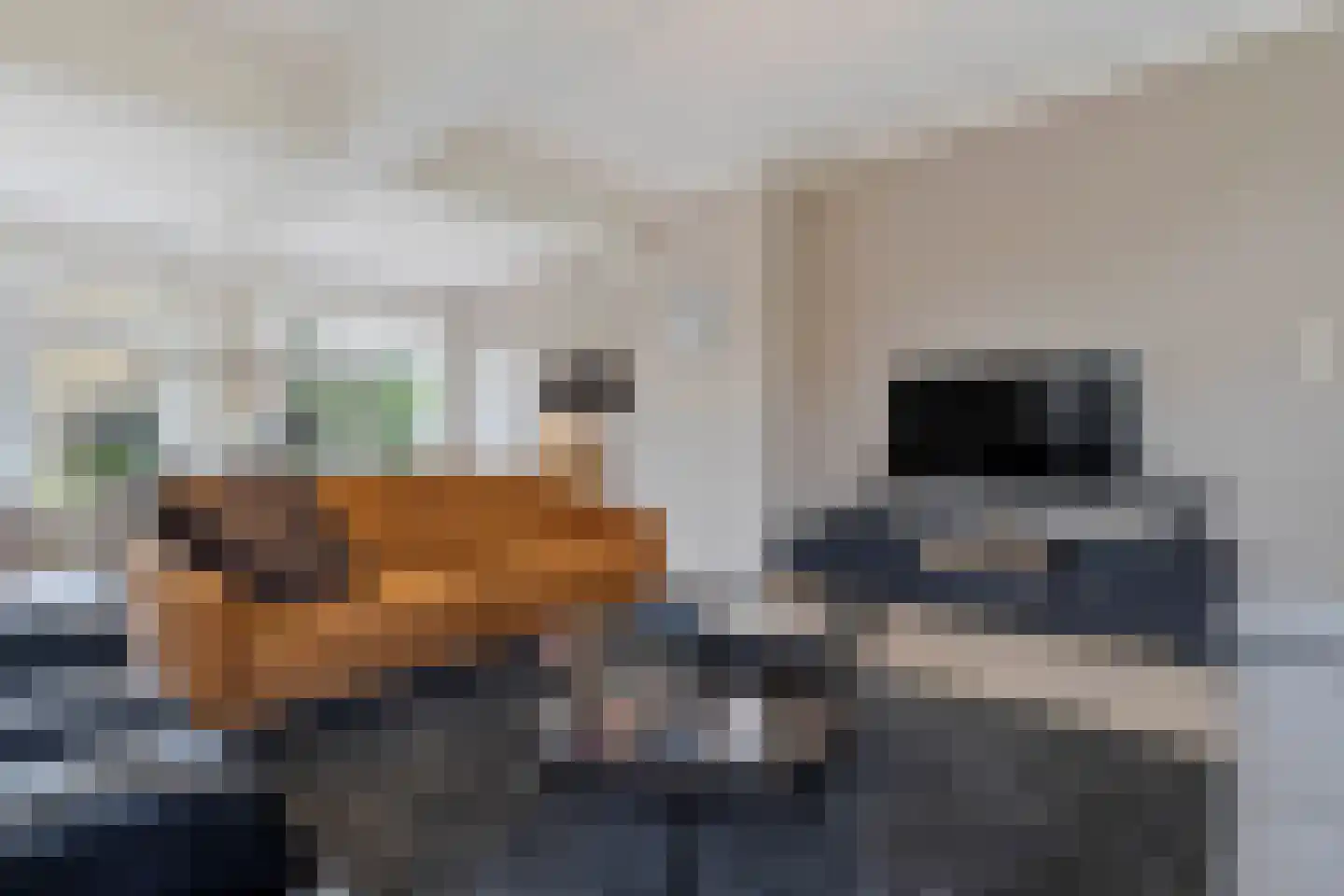 Wilgenstraat 2 Maasbree thumbnail 16