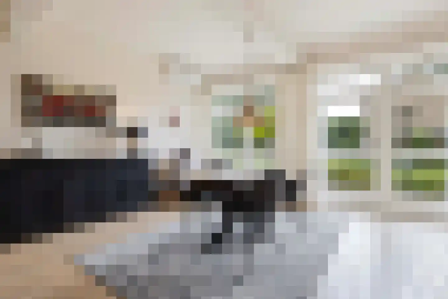 Wilgenstraat 2 Maasbree thumbnail 18