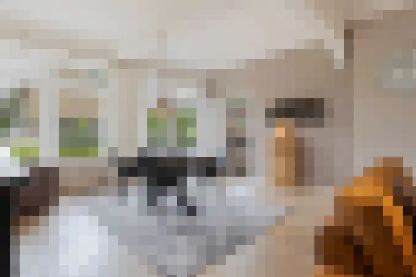 Wilgenstraat 2 Maasbree thumbnail 19