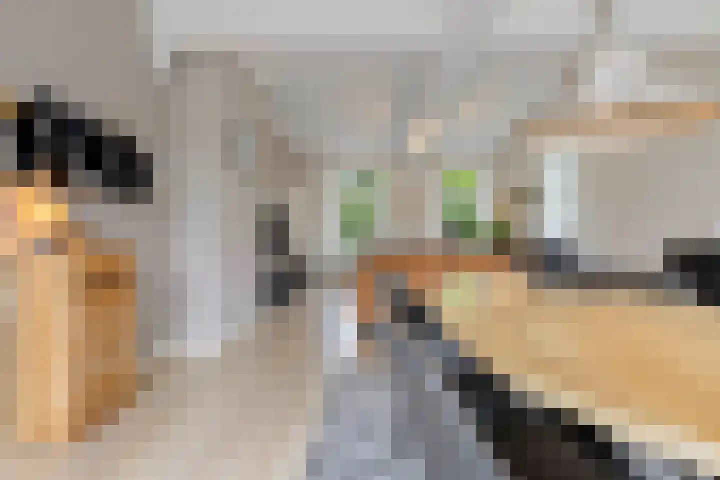 Wilgenstraat 2 Maasbree thumbnail 20