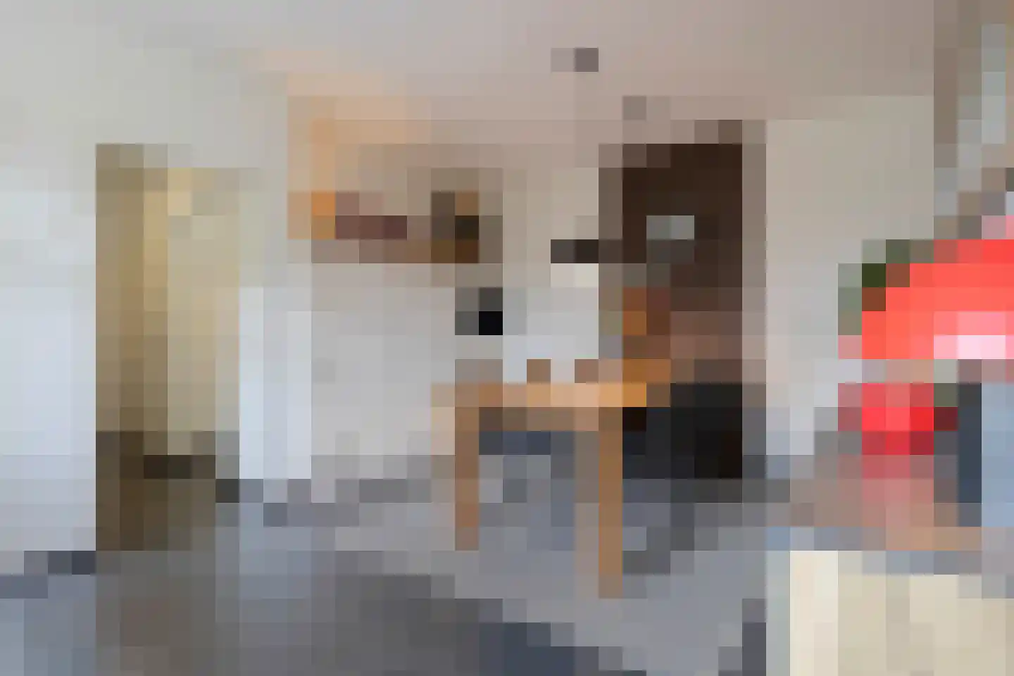 Wilgenstraat 2 Maasbree thumbnail 23