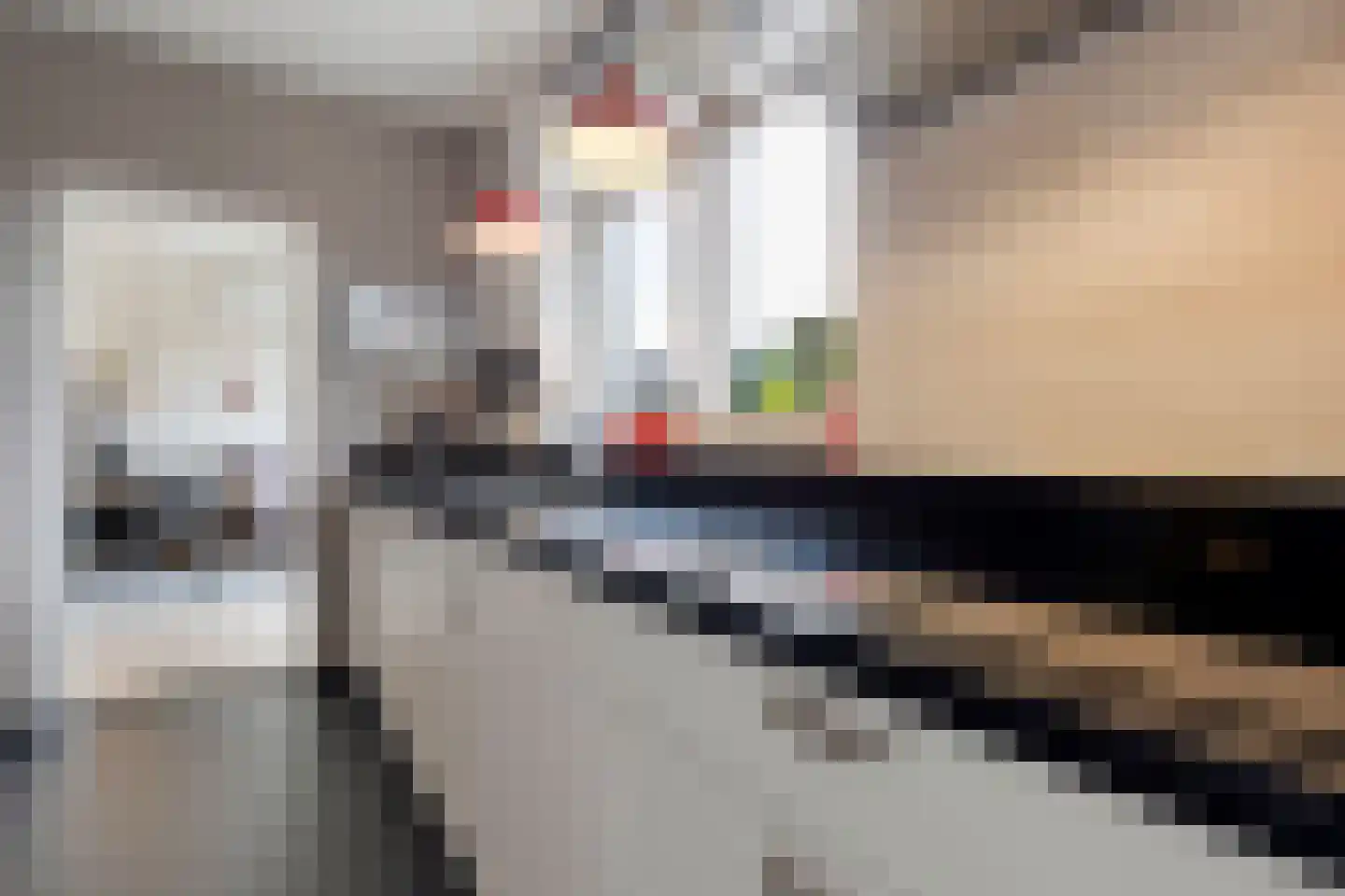 Wilgenstraat 2 Maasbree thumbnail 29