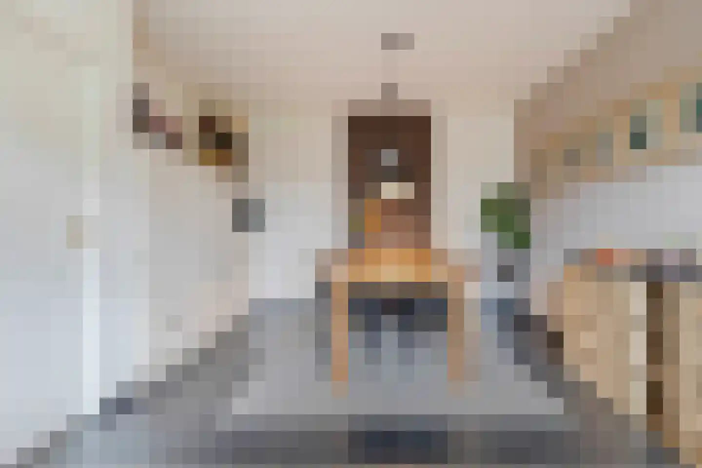 Wilgenstraat 2 Maasbree thumbnail 30