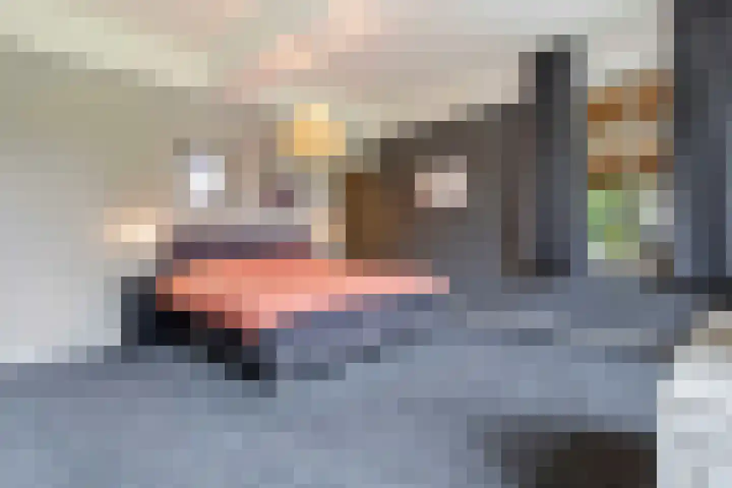 Wilgenstraat 2 Maasbree thumbnail 31