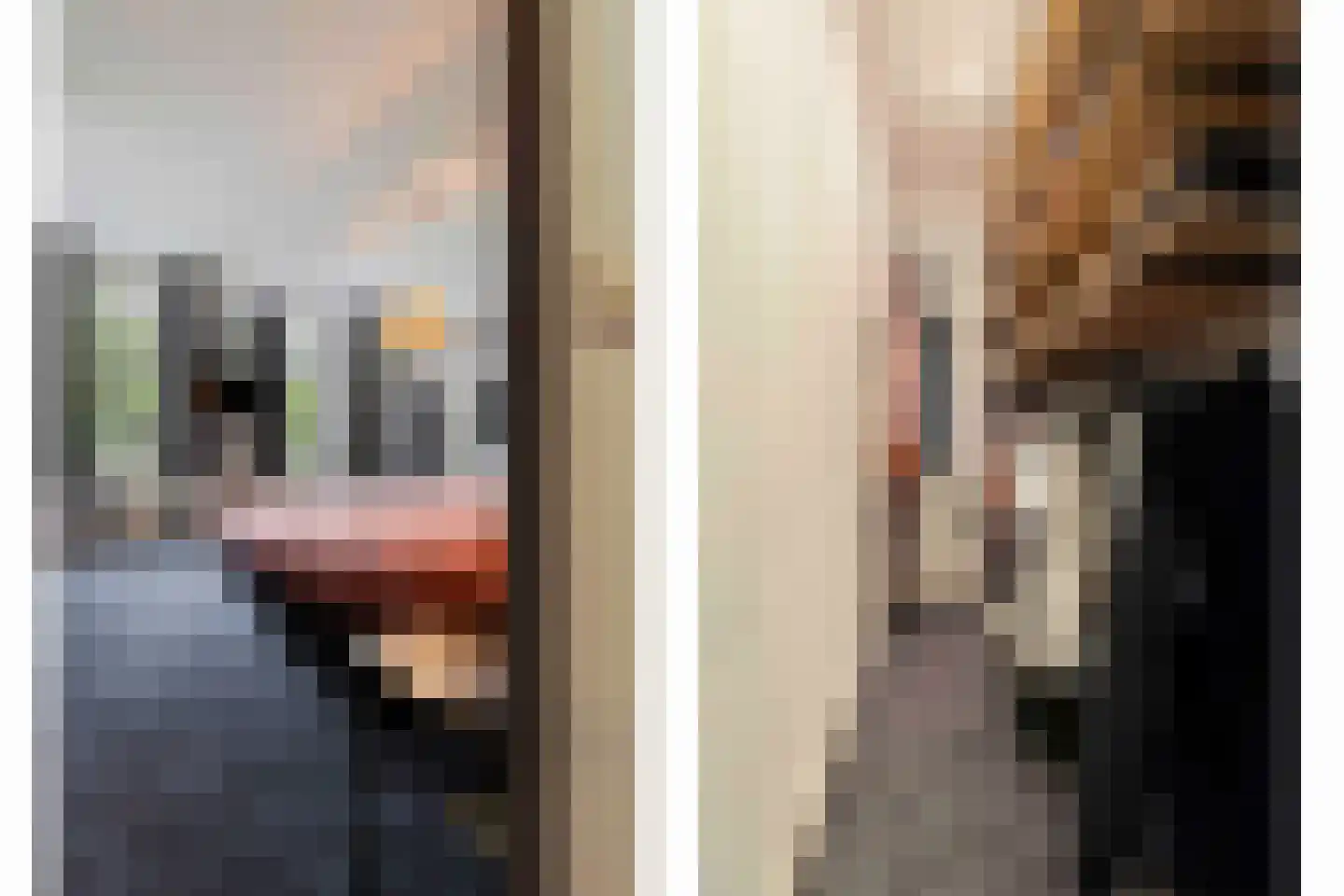 Wilgenstraat 2 Maasbree thumbnail 33