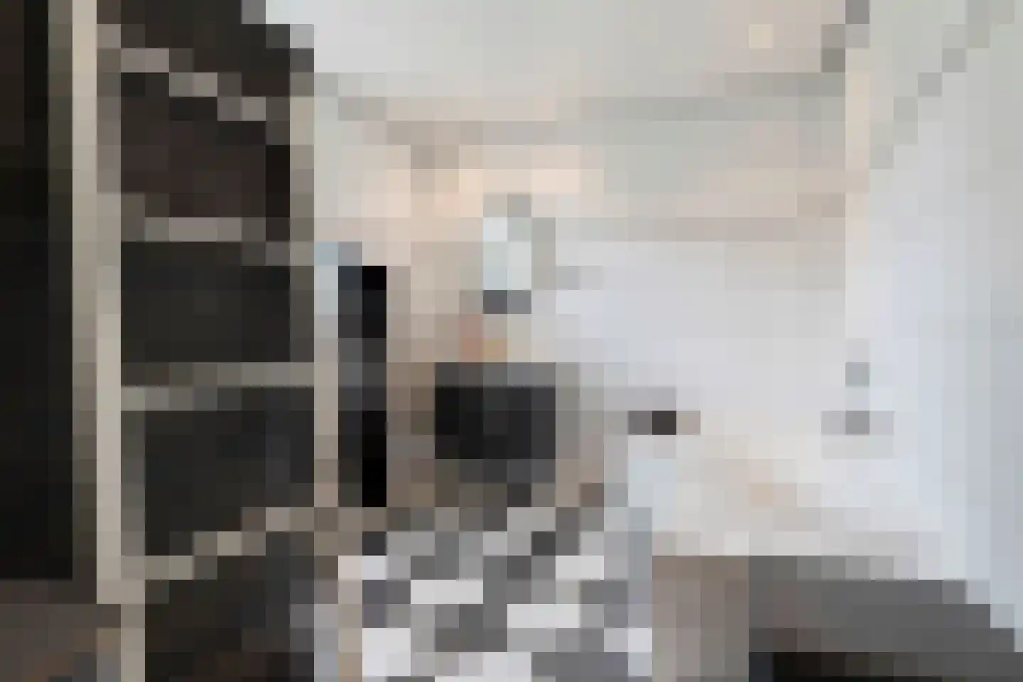 Wilgenstraat 2 Maasbree thumbnail 35