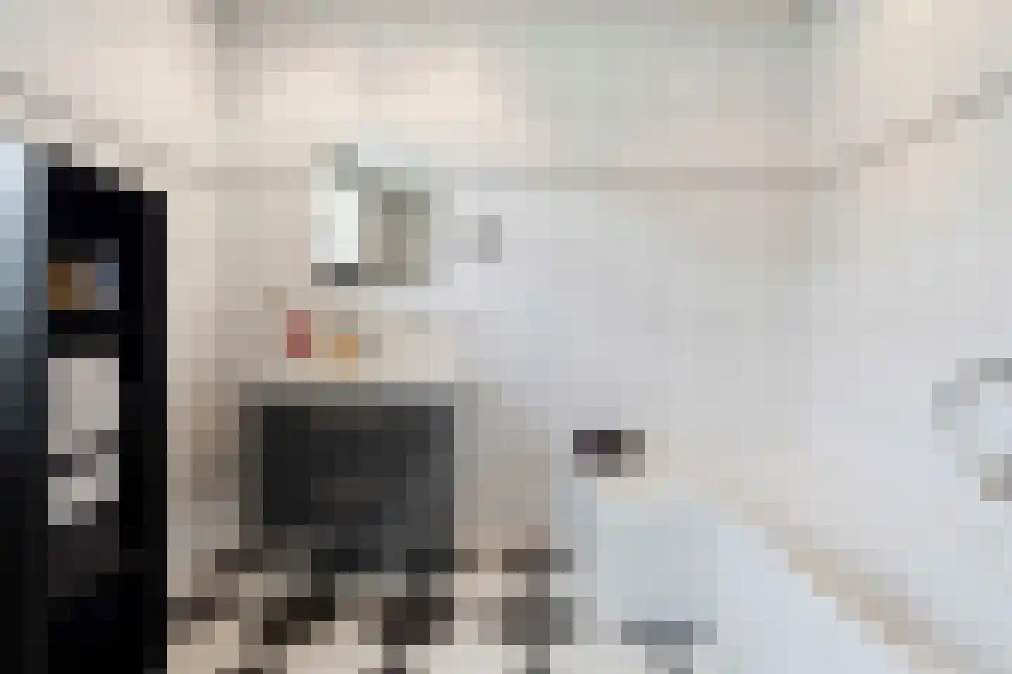 Wilgenstraat 2 Maasbree thumbnail 36