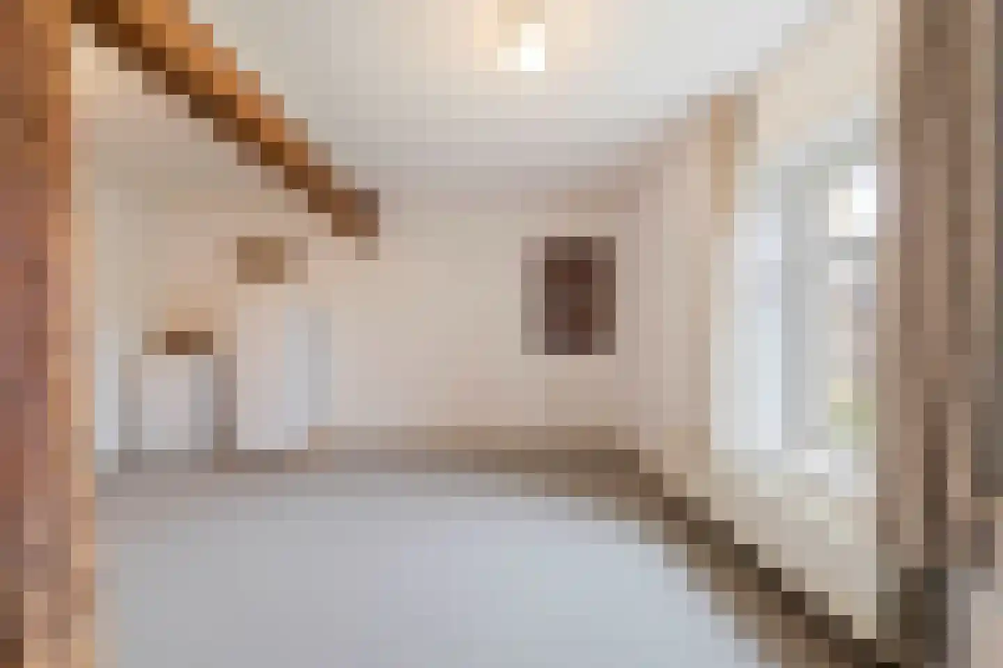 Wilgenstraat 2 Maasbree thumbnail 49
