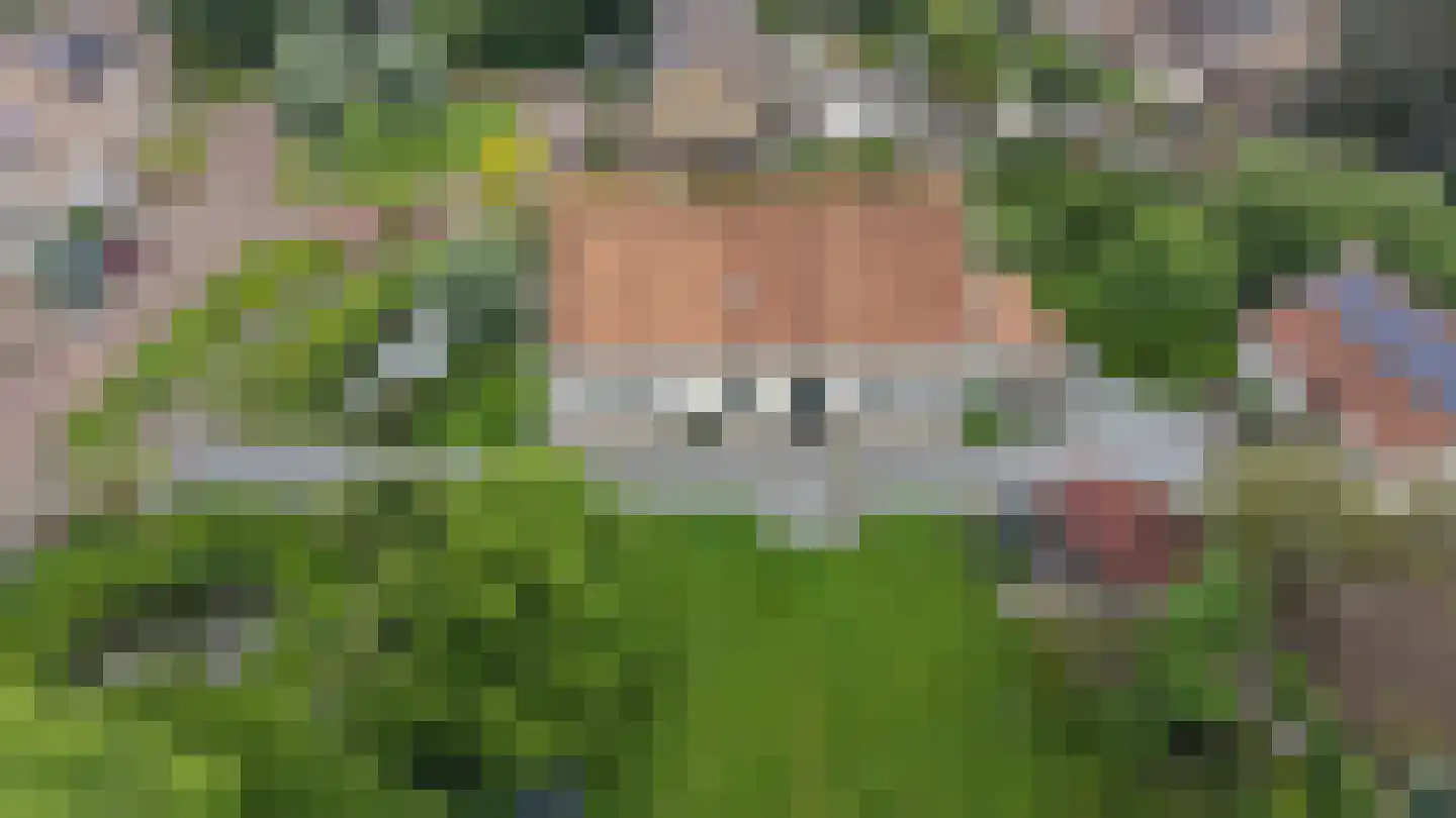 Wilgenstraat 2 Maasbree thumbnail 5