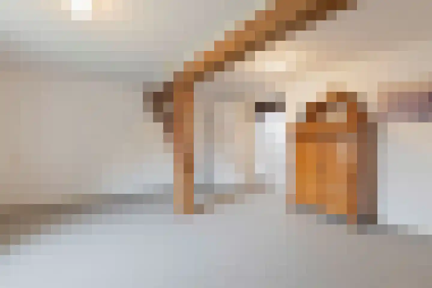 Wilgenstraat 2 Maasbree thumbnail 50