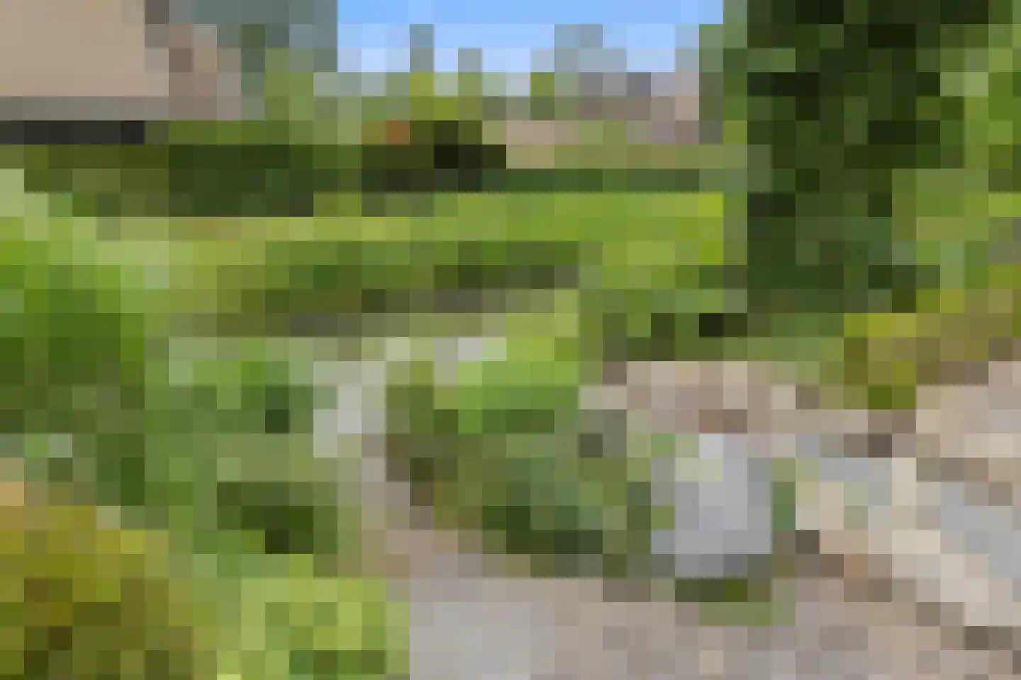 Wilgenstraat 2 Maasbree thumbnail 53