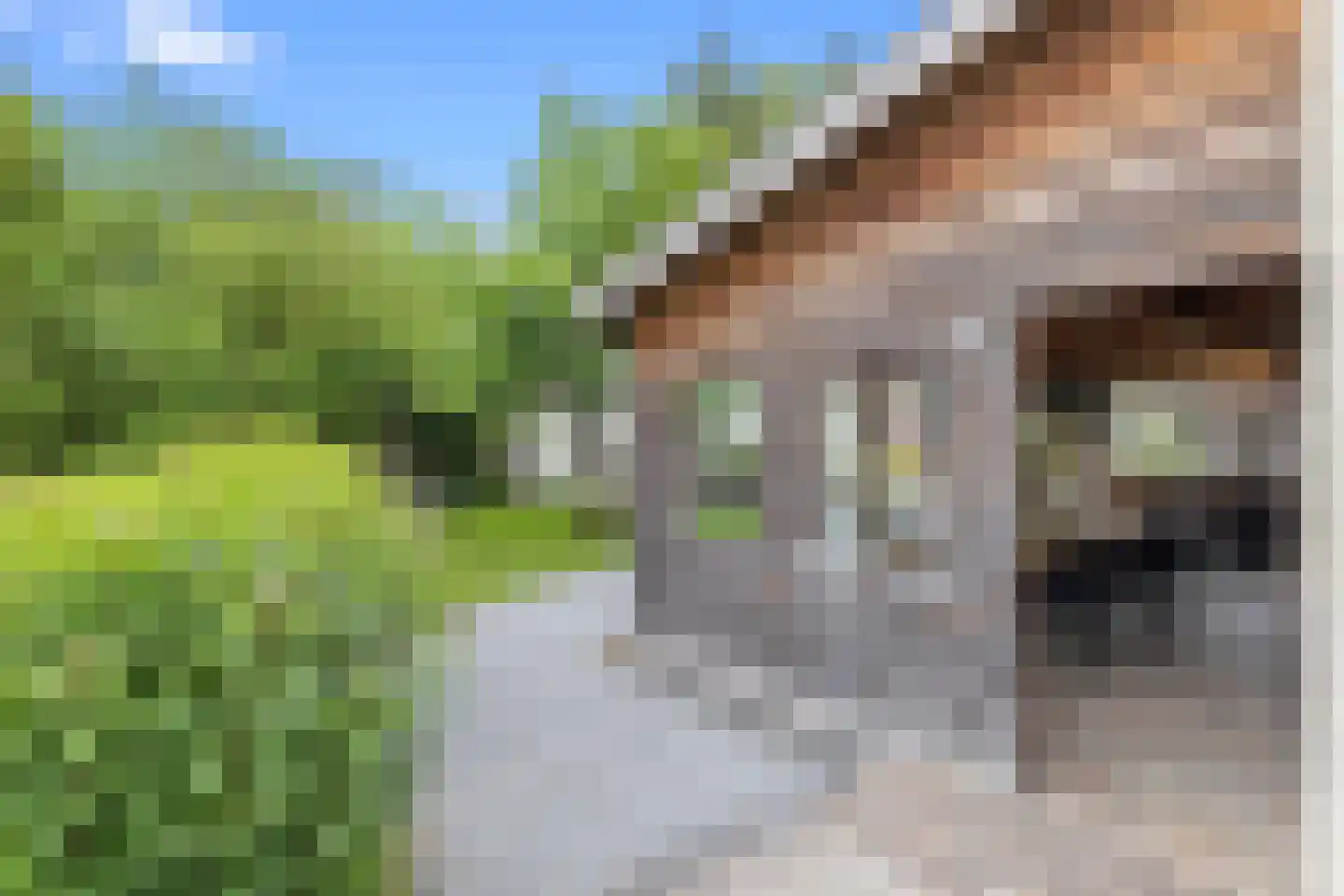 Wilgenstraat 2 Maasbree thumbnail 54