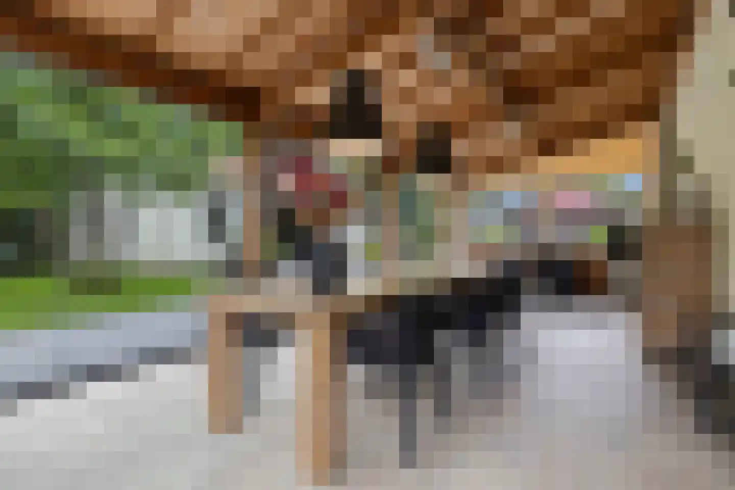 Wilgenstraat 2 Maasbree thumbnail 55
