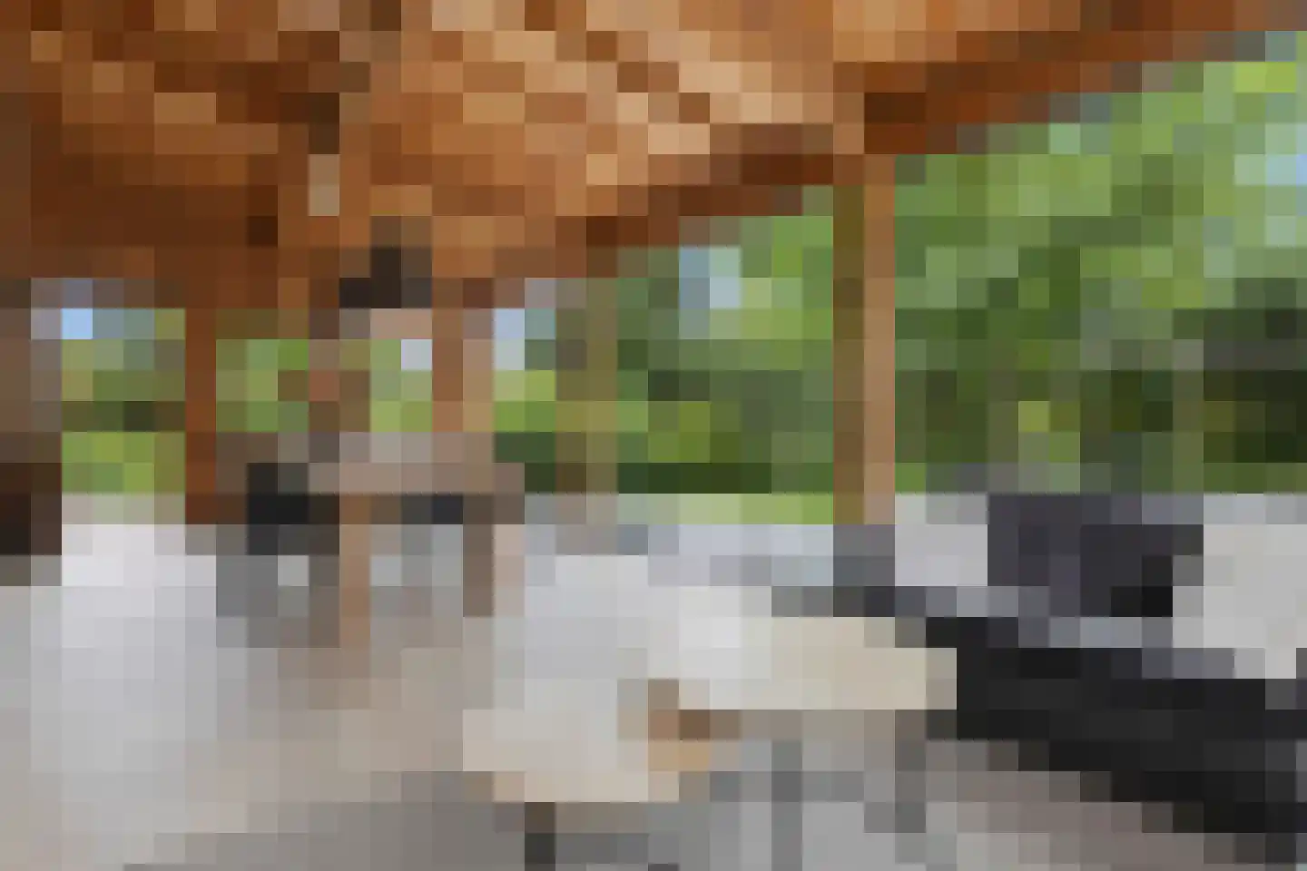 Wilgenstraat 2 Maasbree thumbnail 57