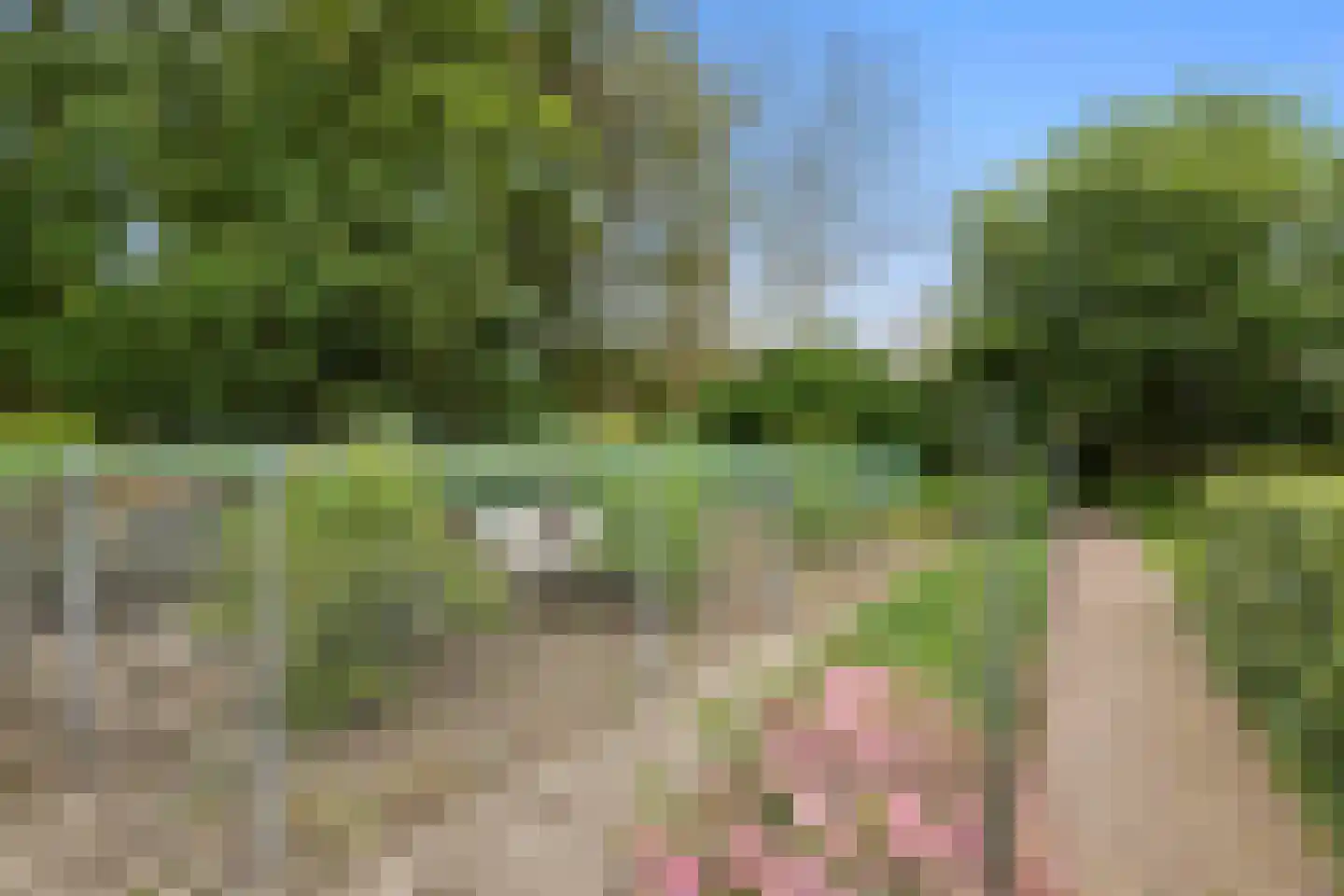 Wilgenstraat 2 Maasbree thumbnail 63