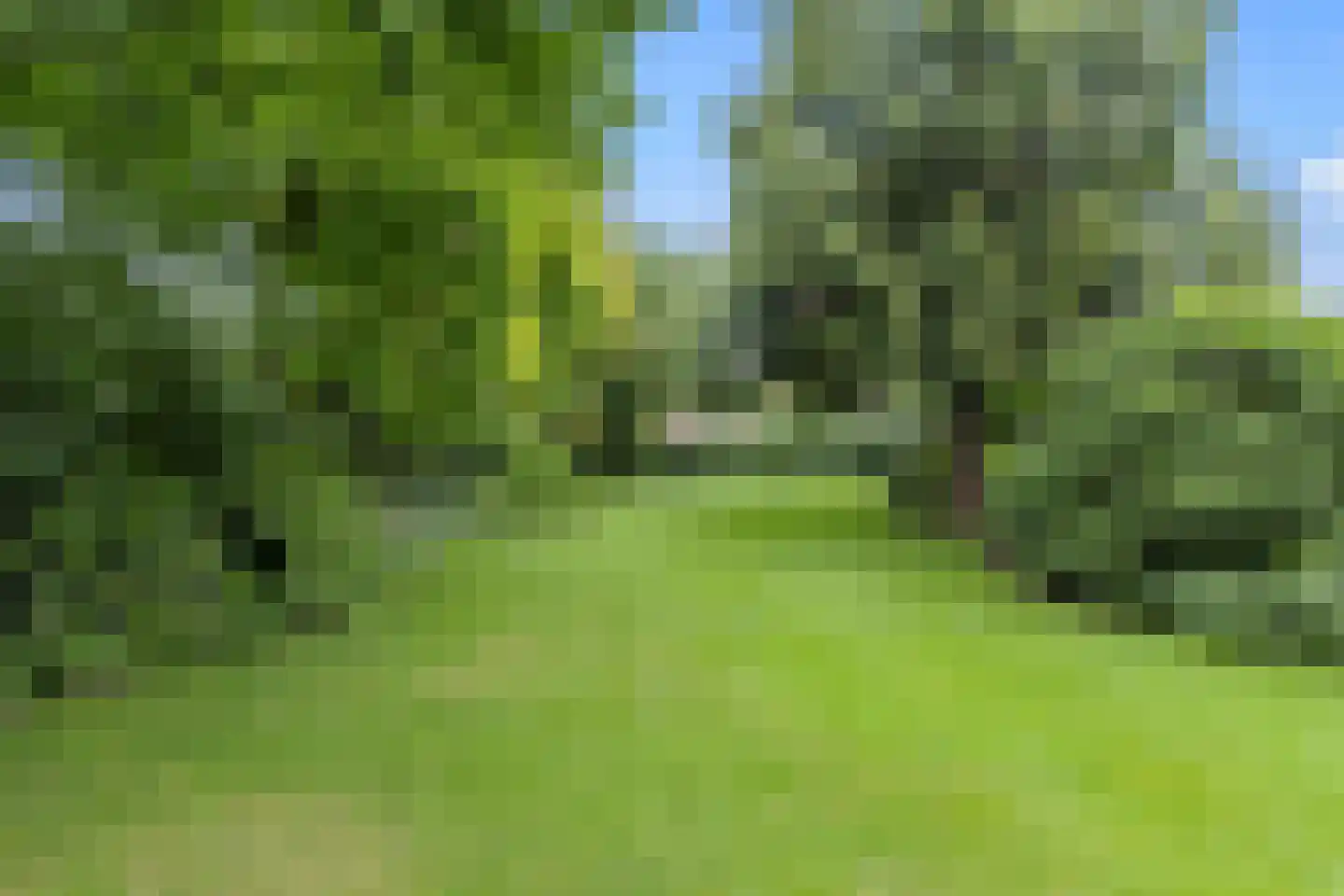 Wilgenstraat 2 Maasbree thumbnail 64