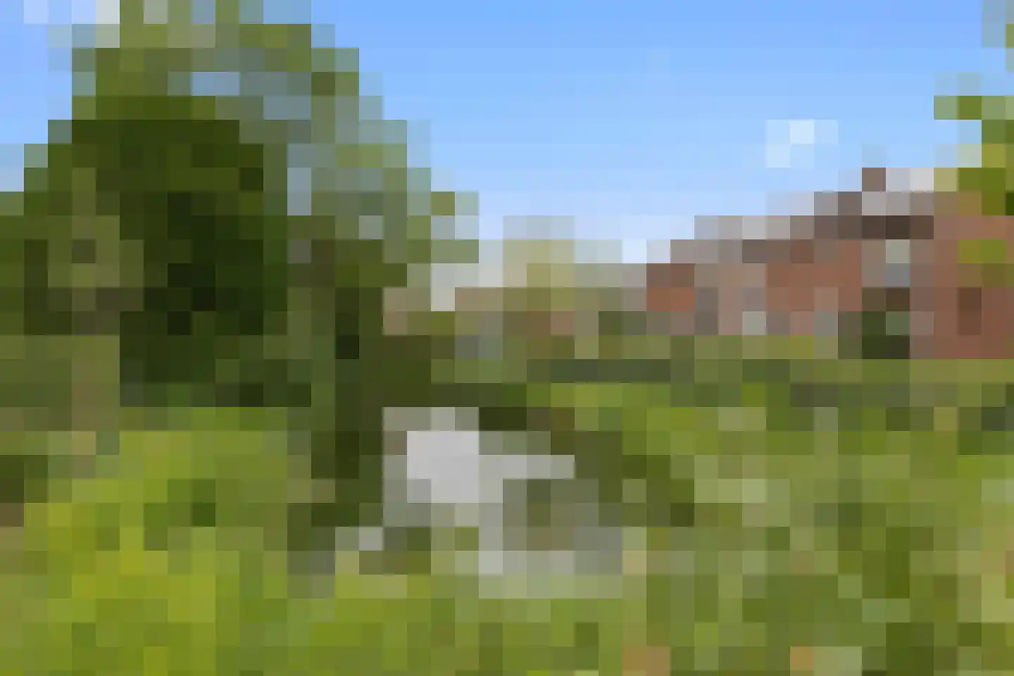 Wilgenstraat 2 Maasbree thumbnail 68