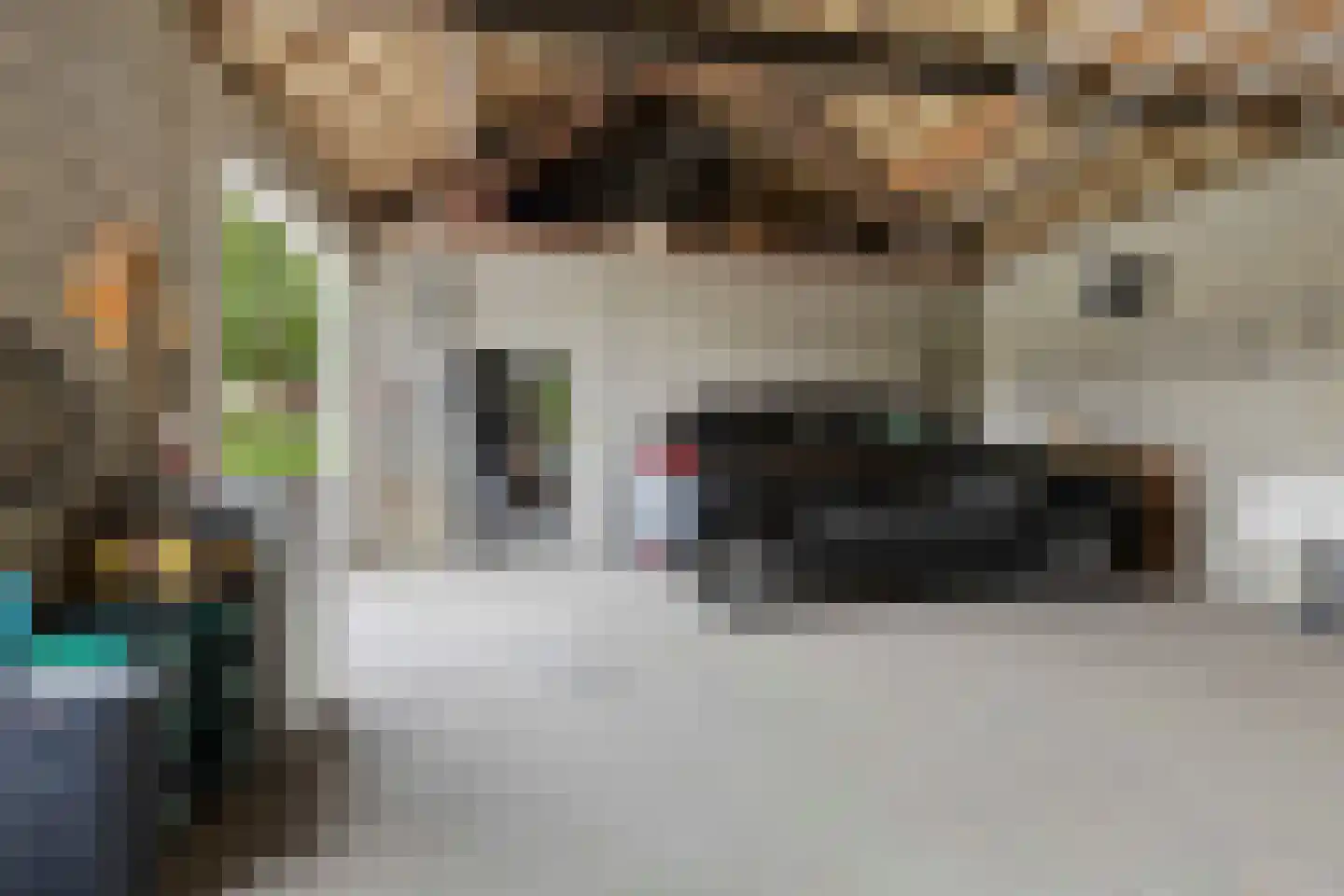 Wilgenstraat 2 Maasbree thumbnail 71