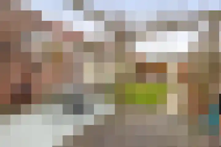 Wilgenstraat 2 Tilburg thumbnail 24