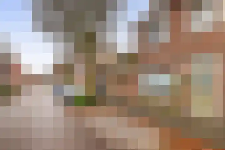 Wilgenstraat 2 Tilburg thumbnail 6