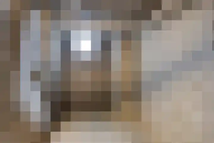Wilgenstraat 21 Oss thumbnail 25